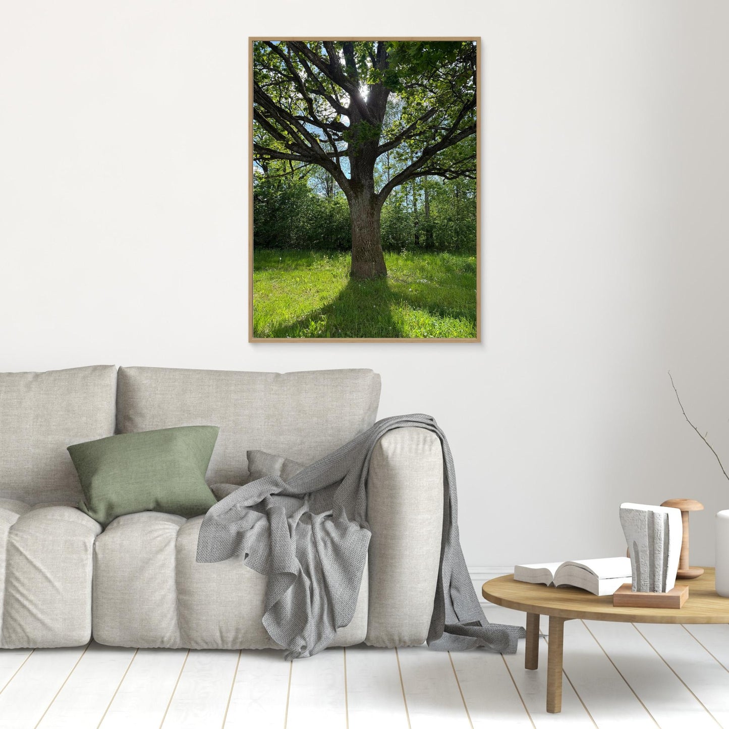Old Oak Tree