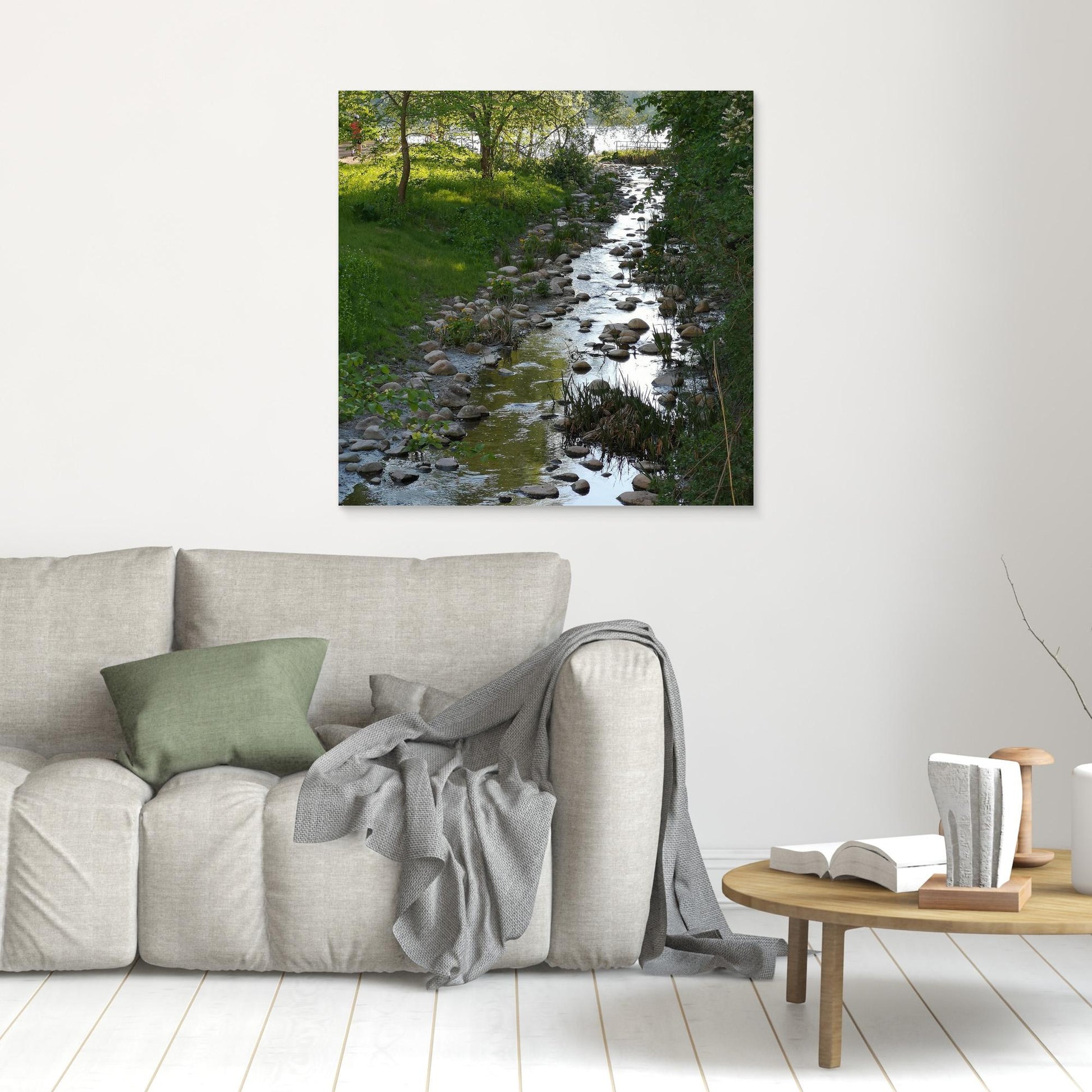 Creek in summer