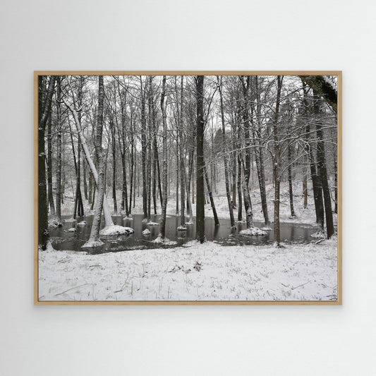 Winter tree