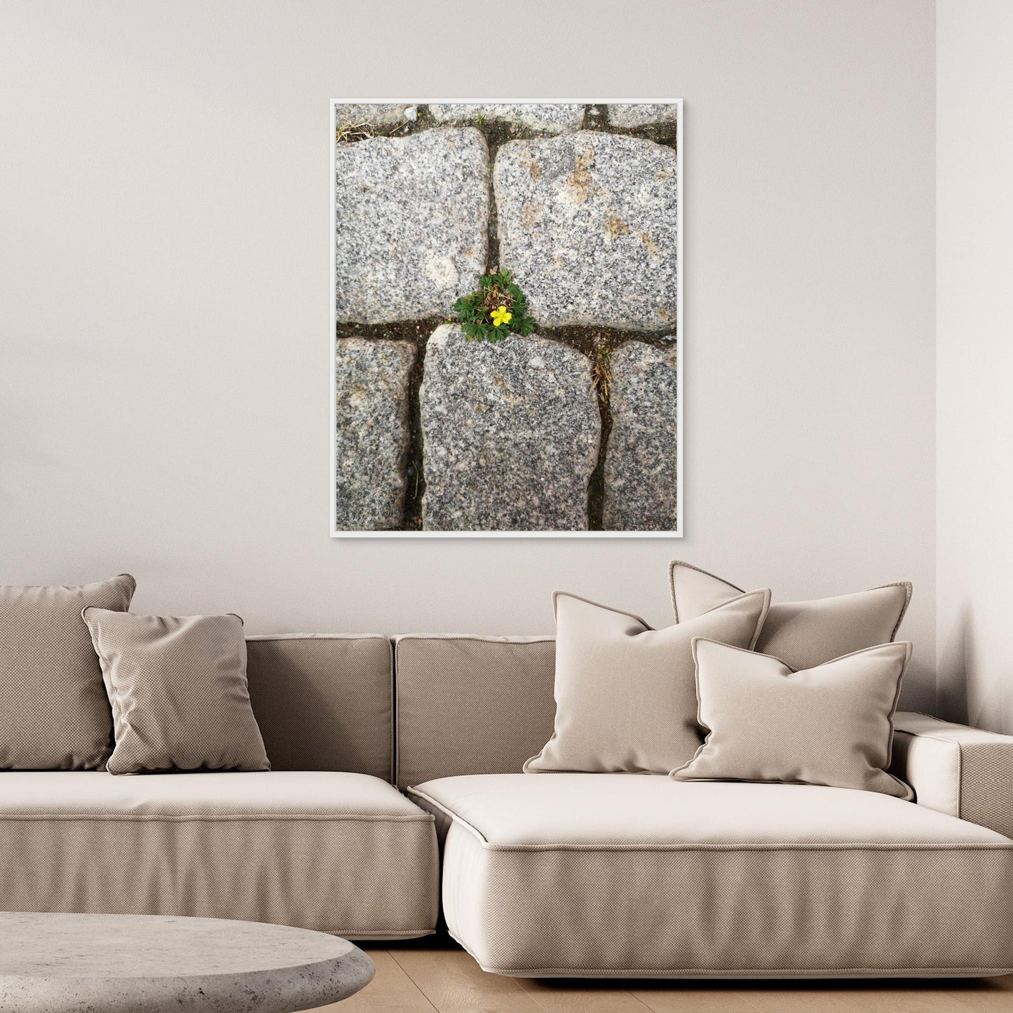 Flower between stones
