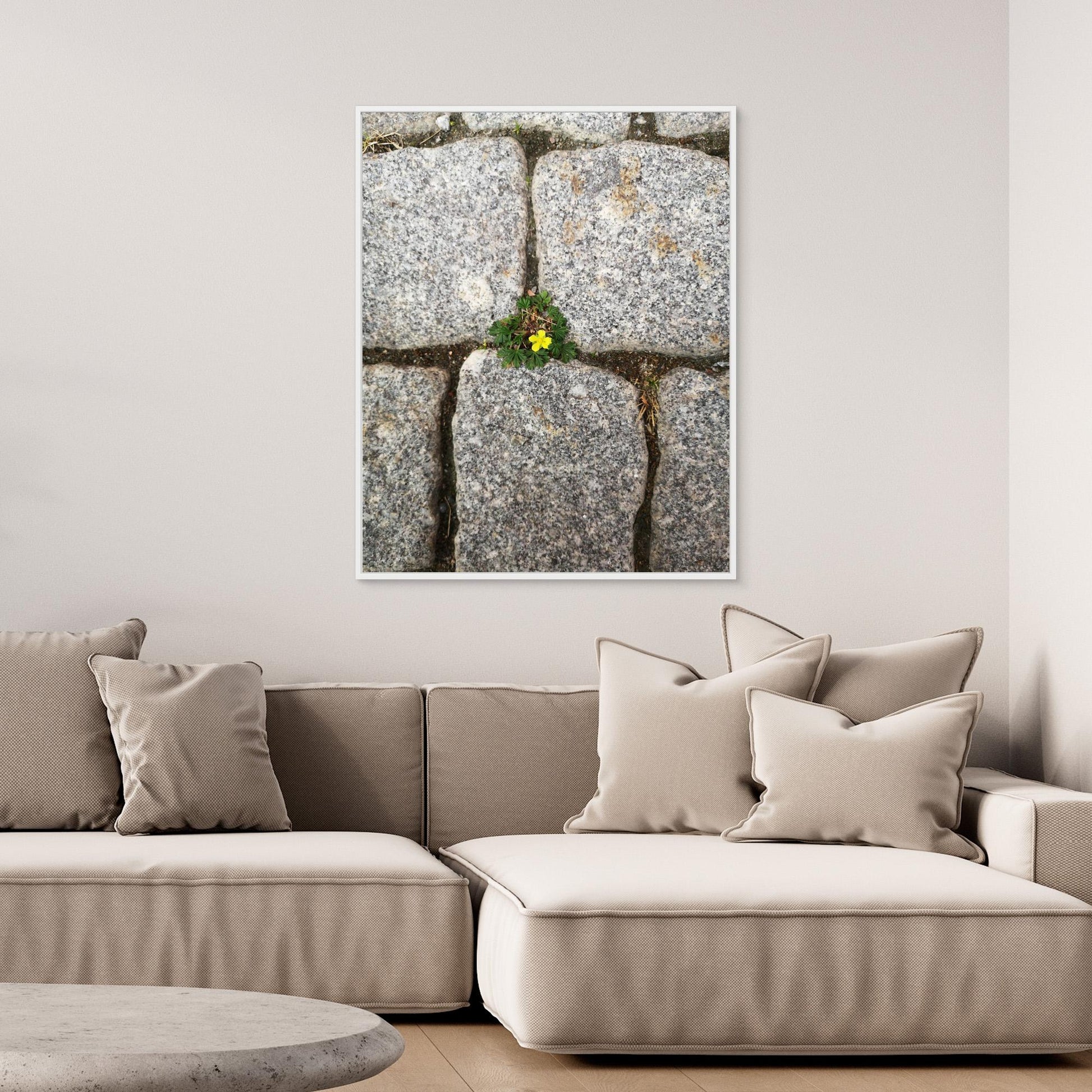 Flower between stones