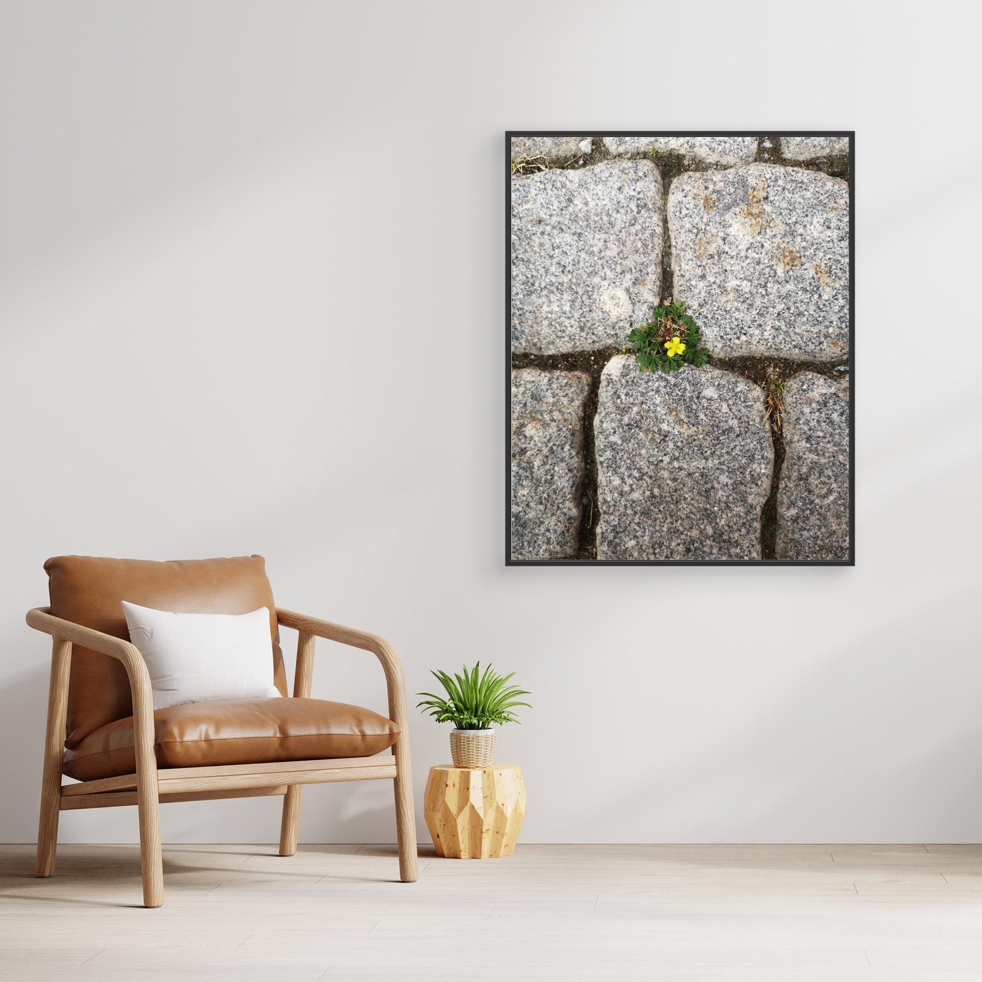 Flower between stones