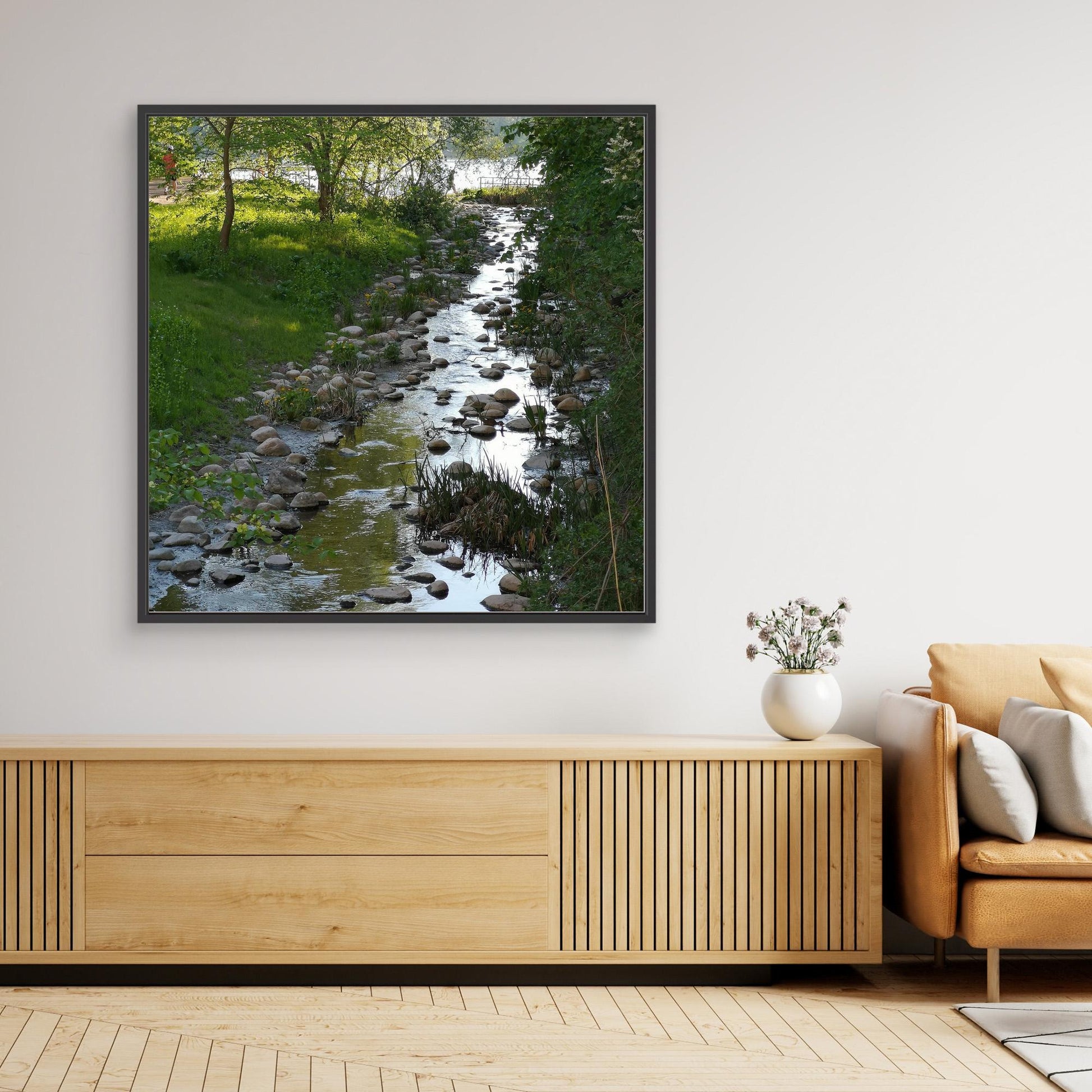 Creek in summer