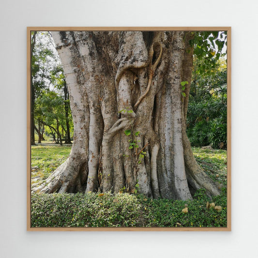 Benchakitti Park, Bangkok