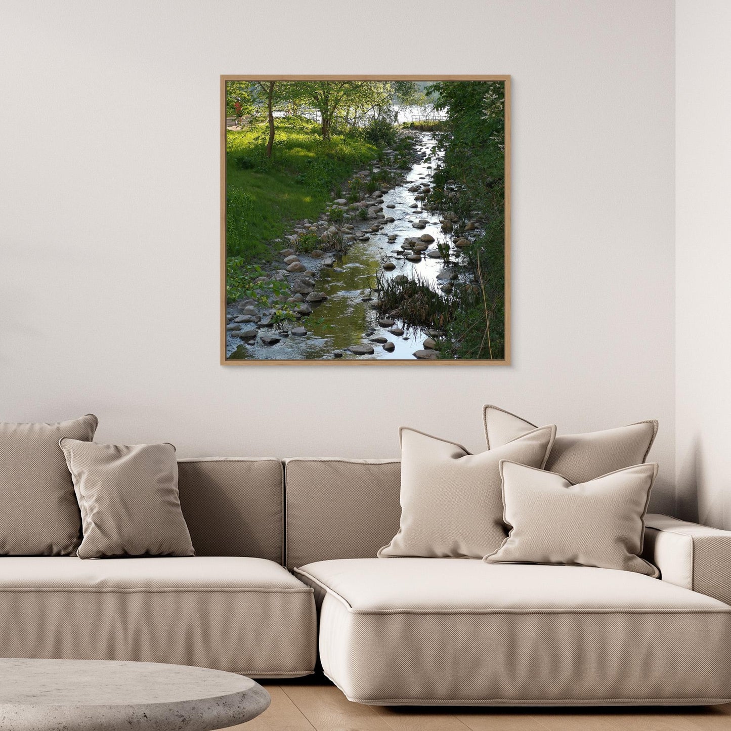 Creek in summer