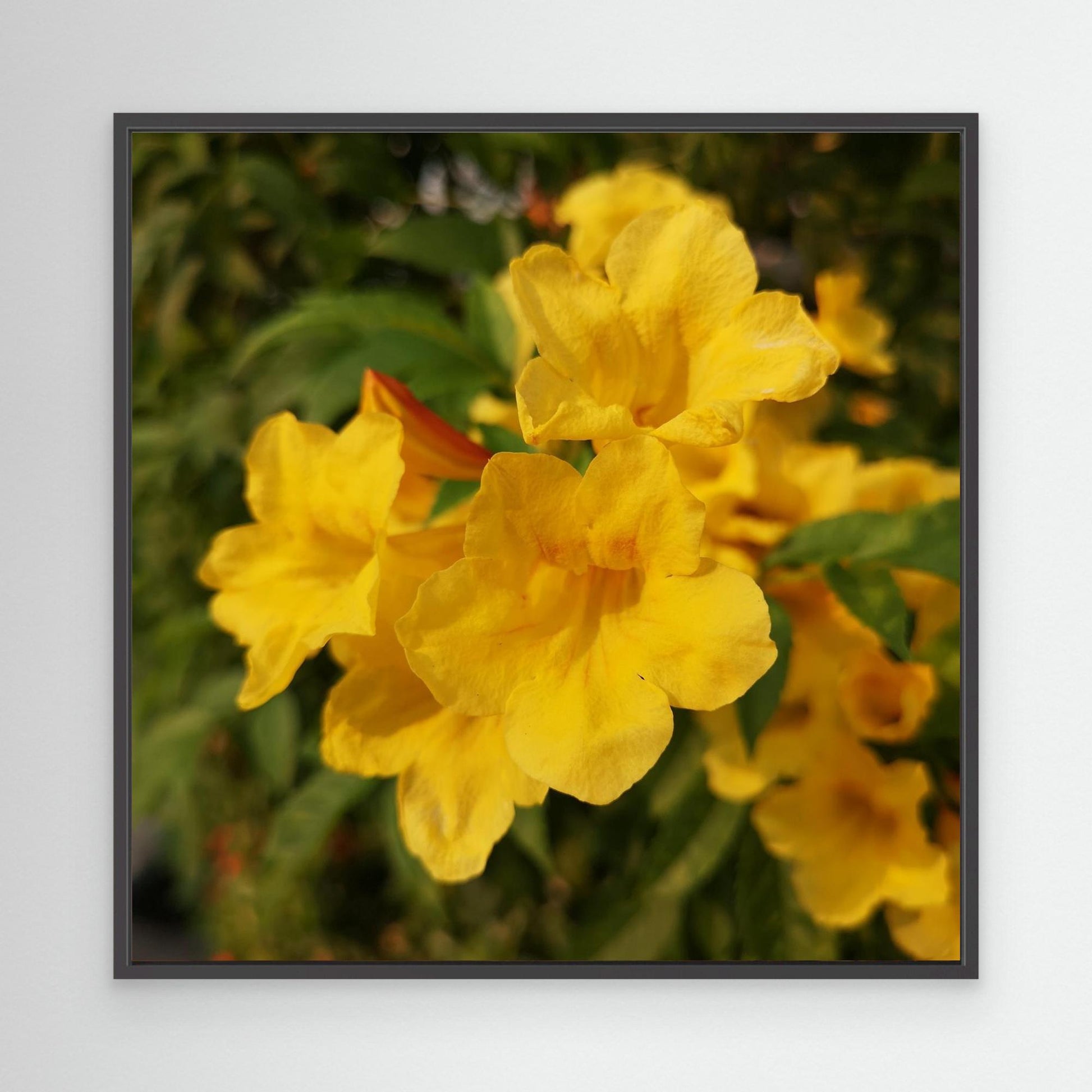 Happy Flower
