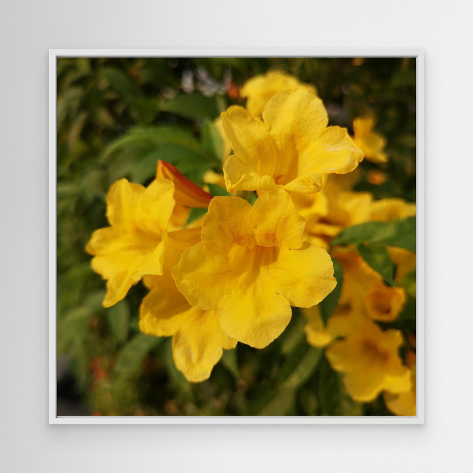 Happy Flower