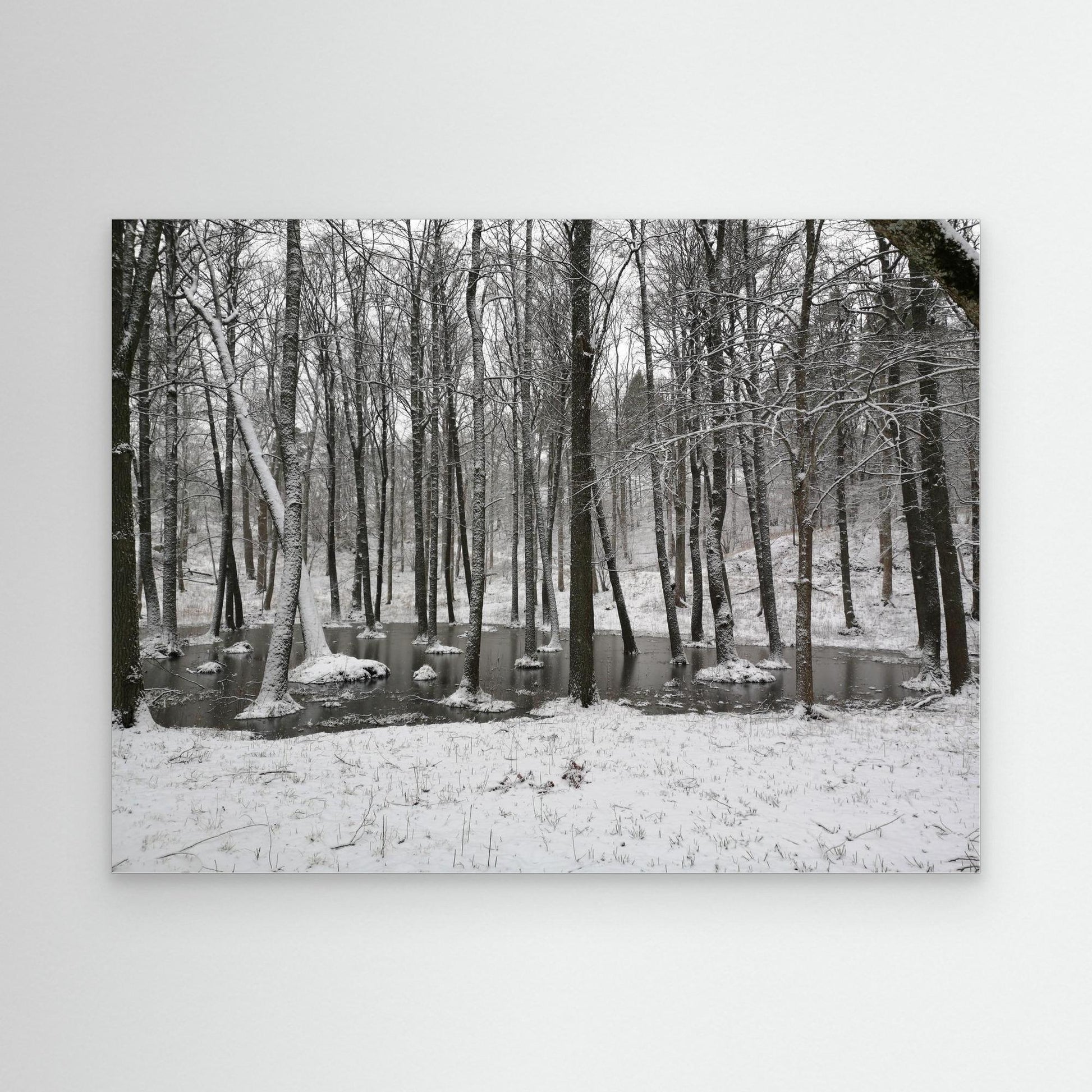 Winter tree