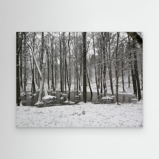 Winter tree