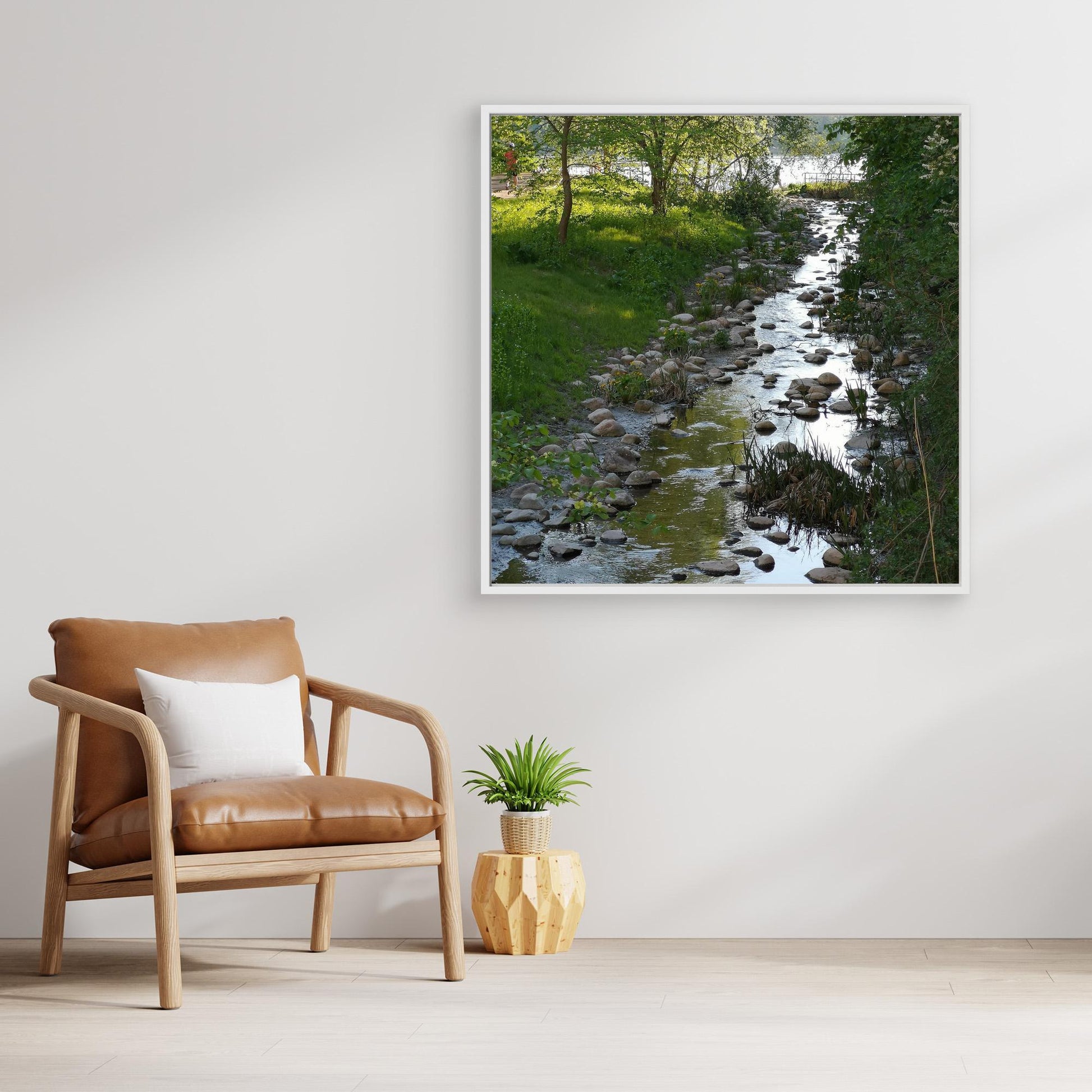Creek in summer