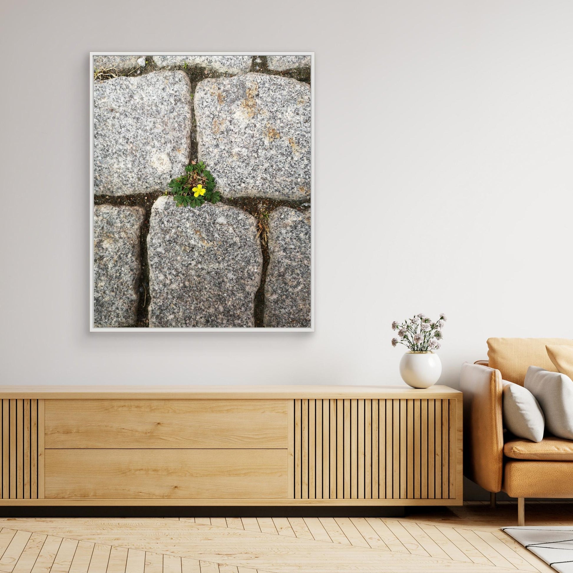 Flower between stones