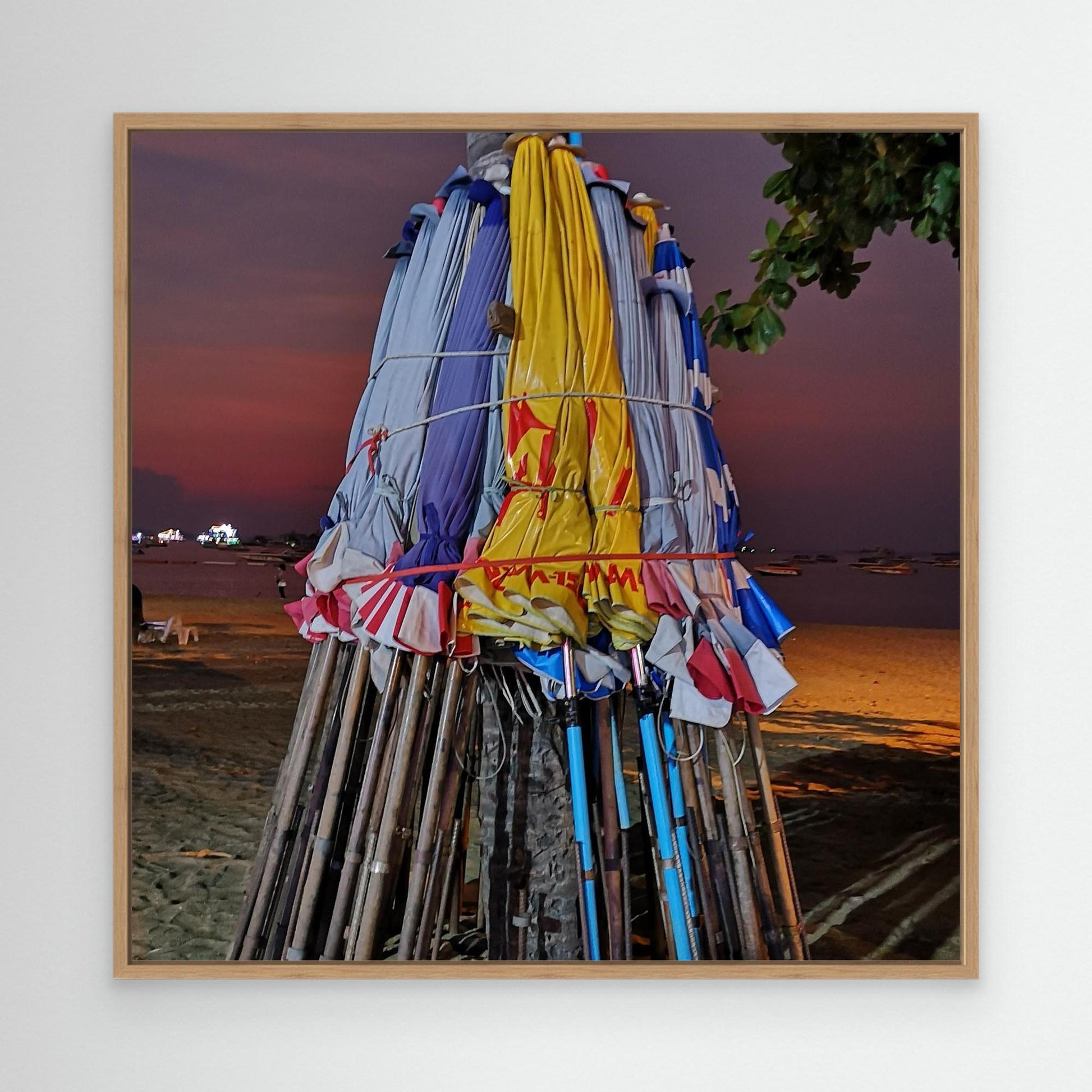 Parasols at rest