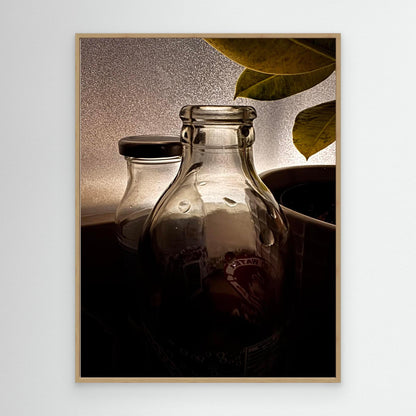 Waiting for the spring