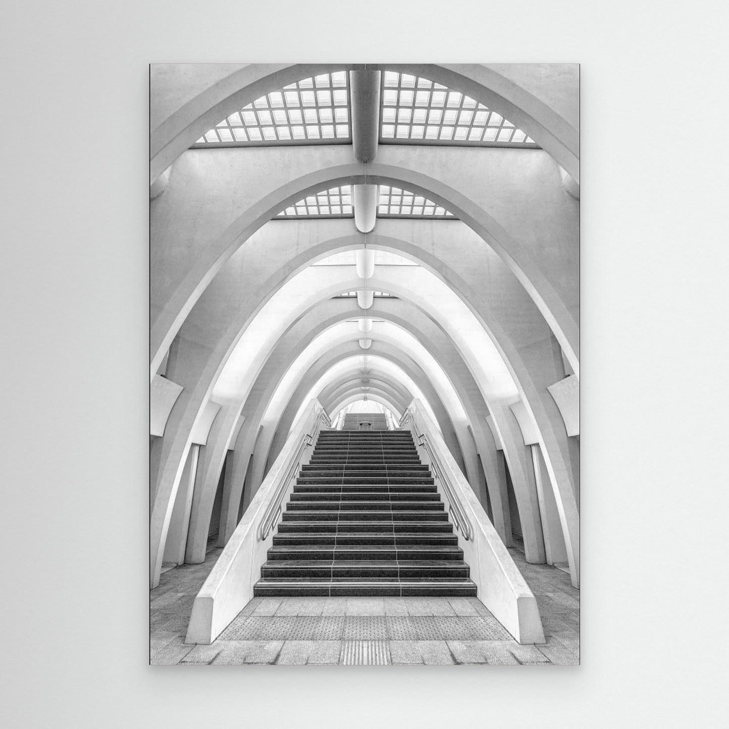 Calatrava lines by Jef Van Den Houte