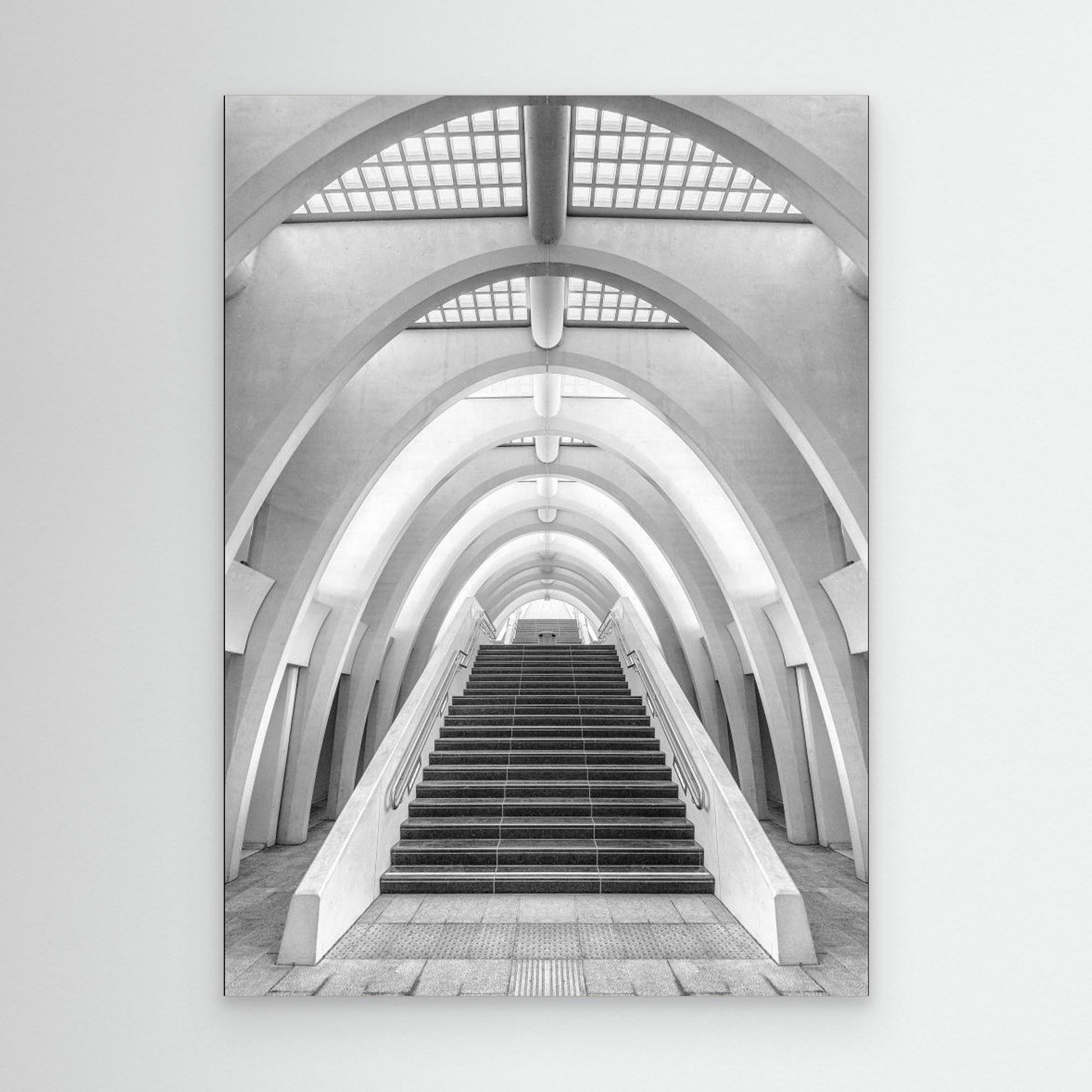 Calatrava lines by Jef Van Den Houte