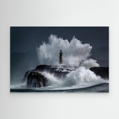 Comb by Jesus Concepcion Alvarado