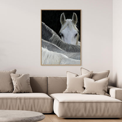 Look by Milan Malovrh