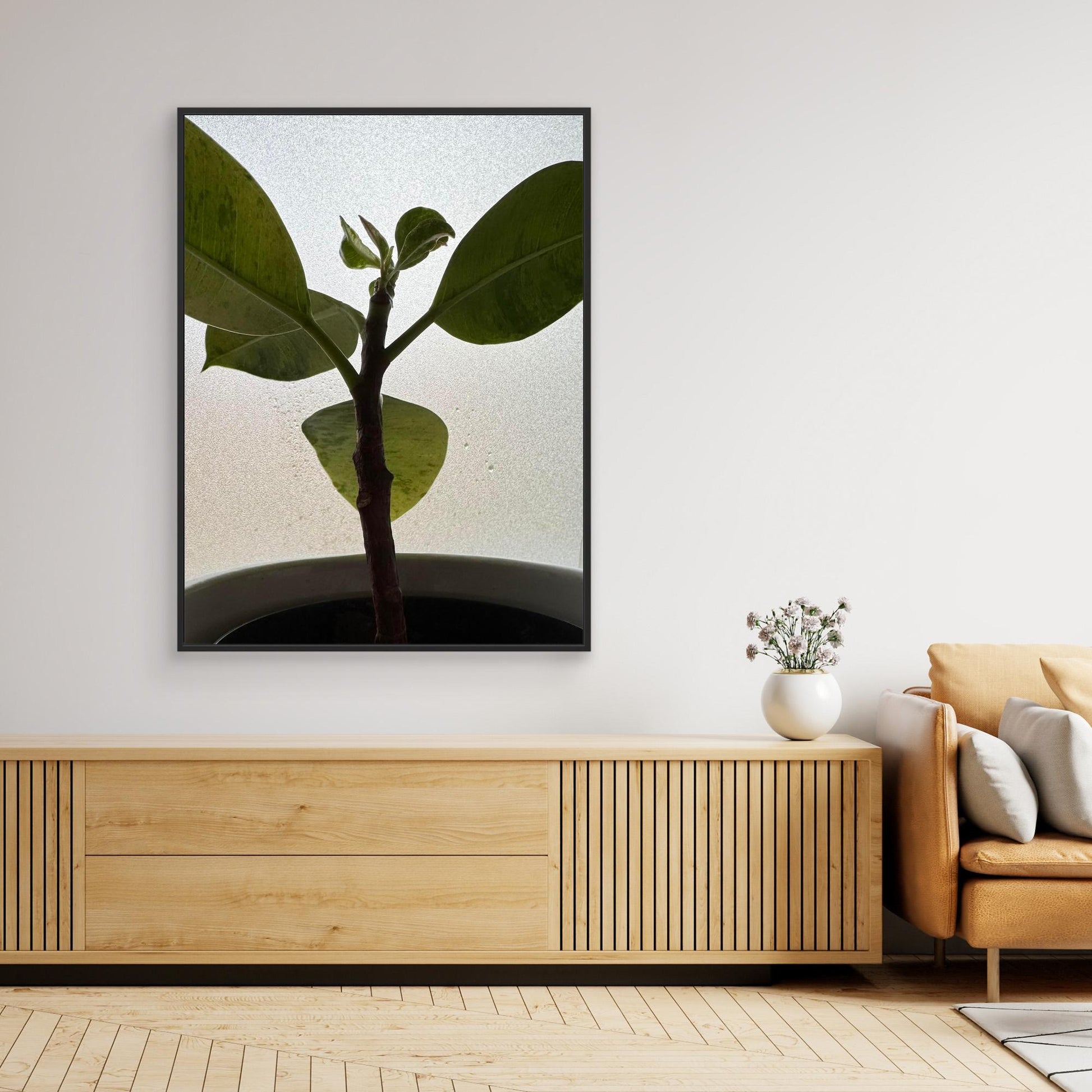 Healthy plant