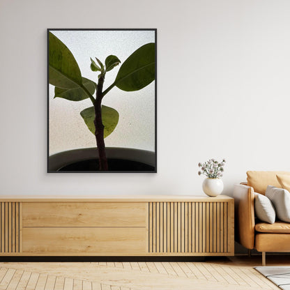 Healthy plant