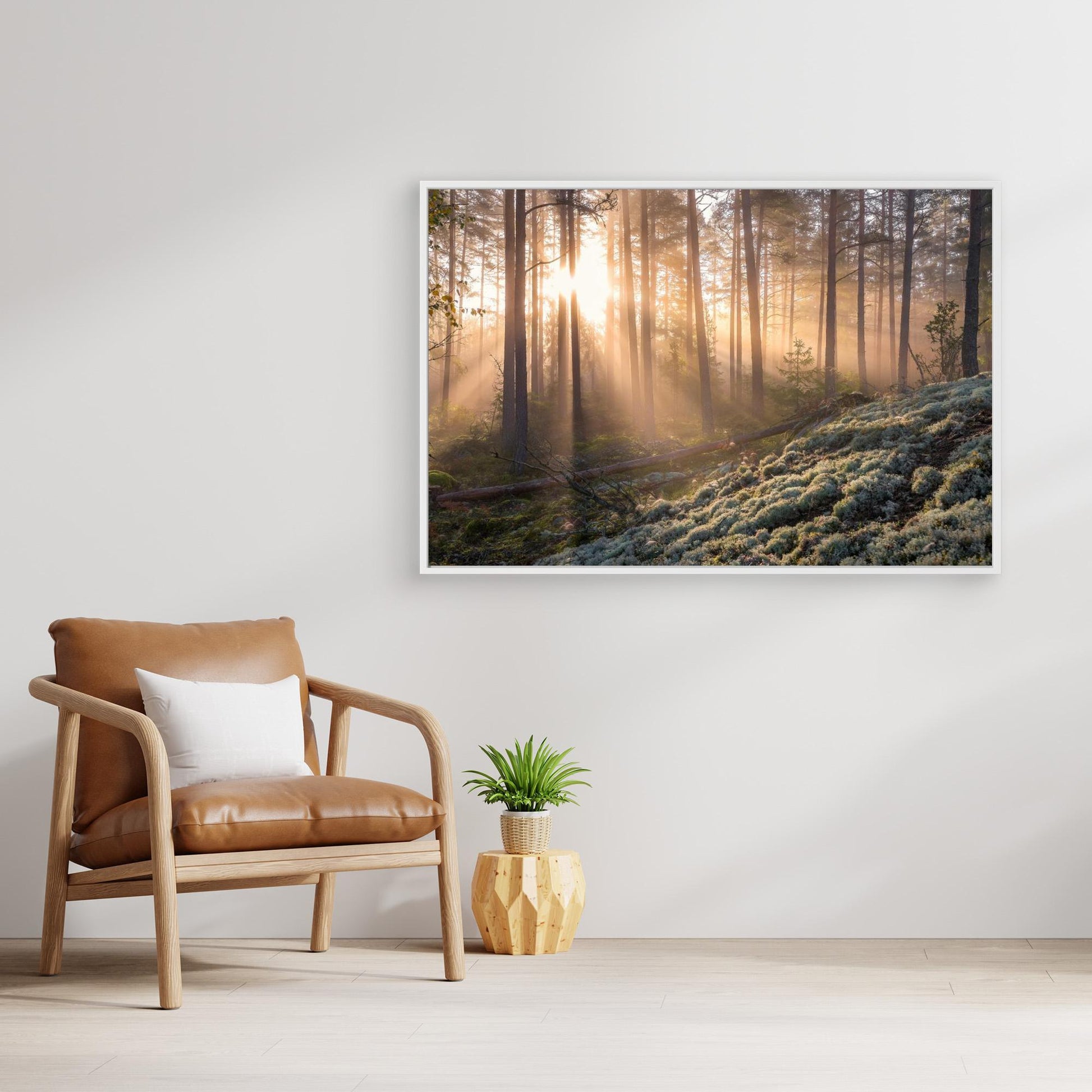 Fog in the forest with white moss in the forground by Christian Lindsten