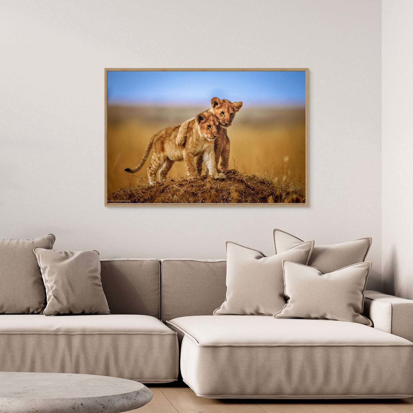 Brothers for Life by Jeffrey C. Sink