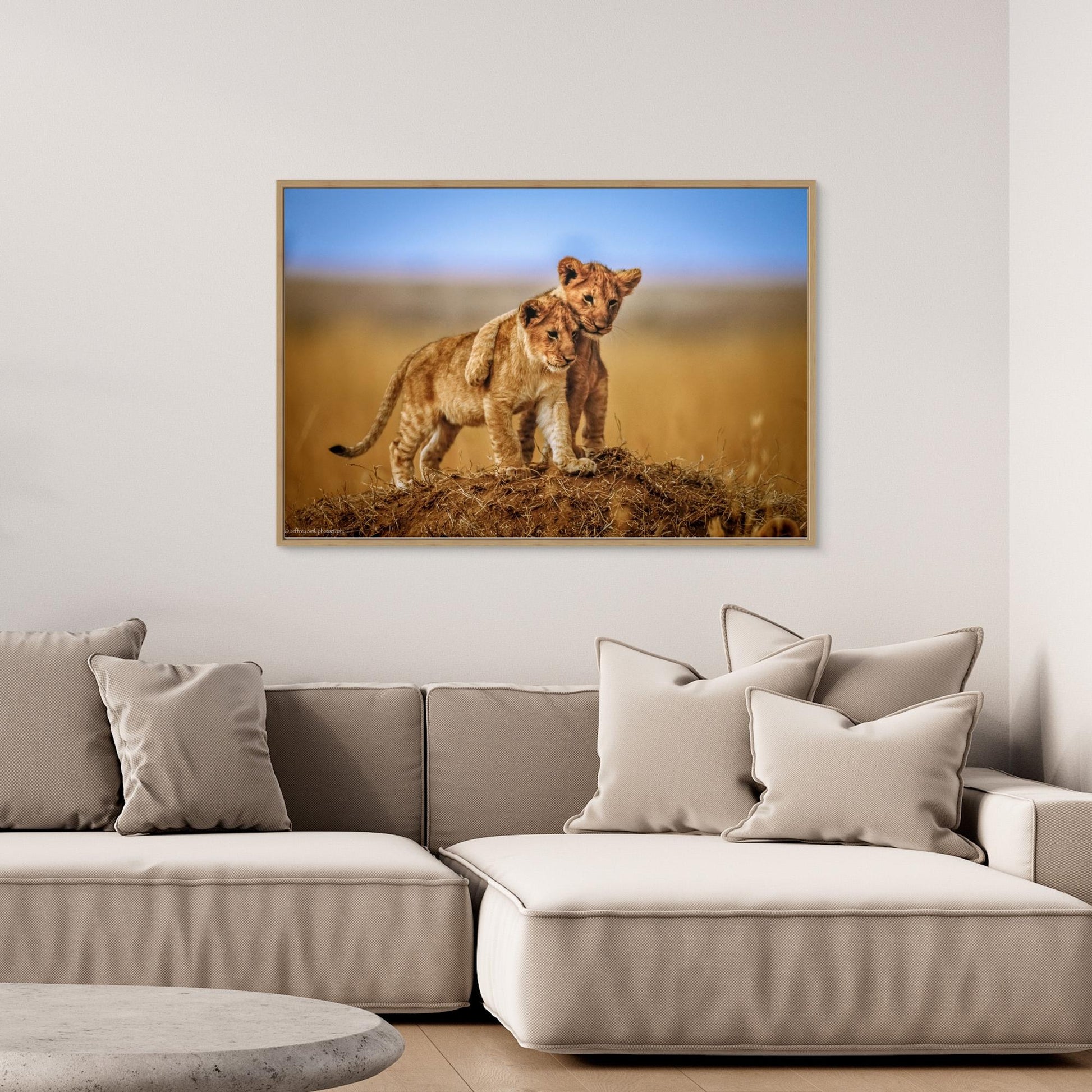 Brothers for Life by Jeffrey C. Sink