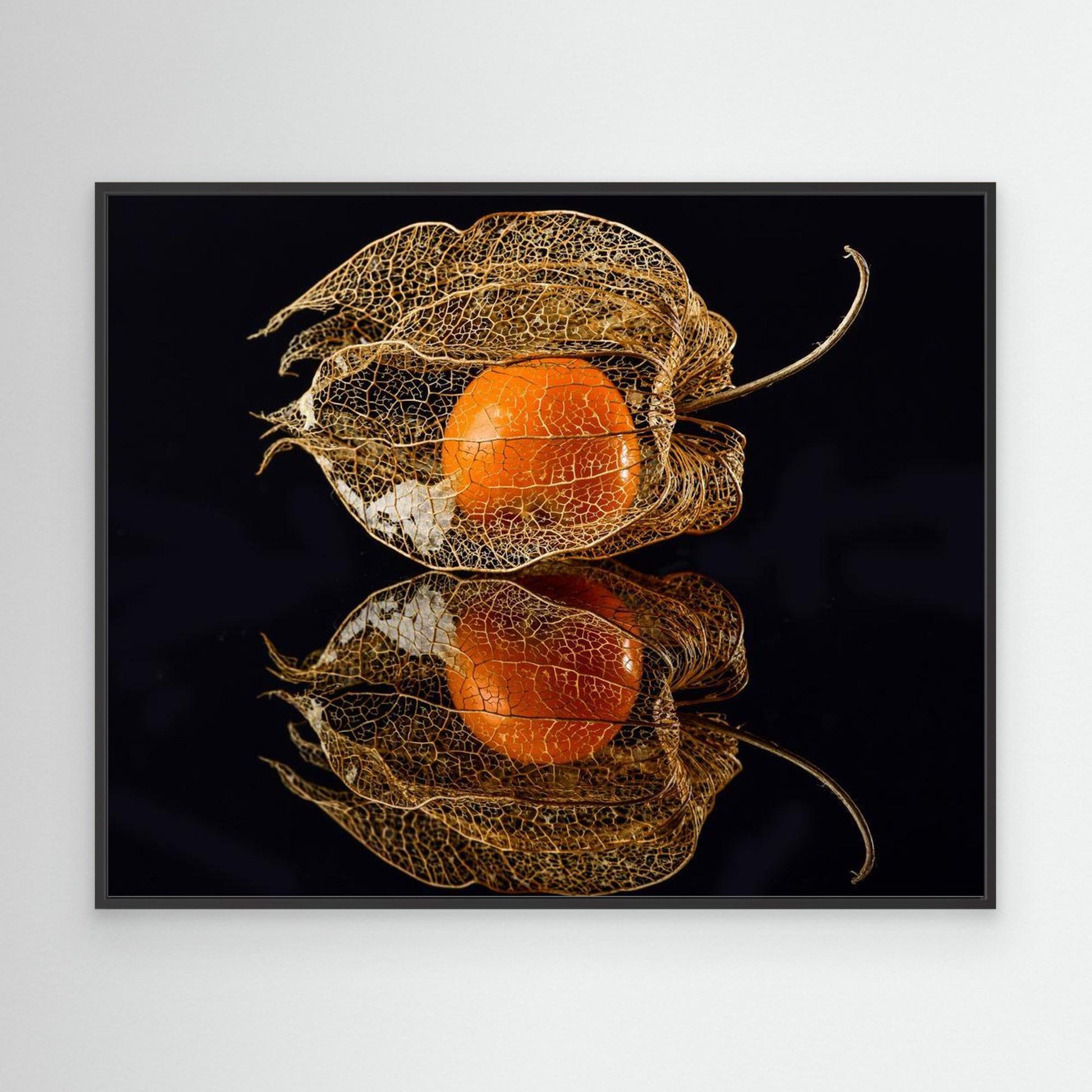 Physalis by Klaus Grosshanten