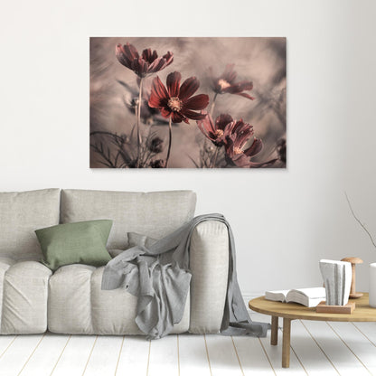 Cosmos 2019 by Fabien Bravin