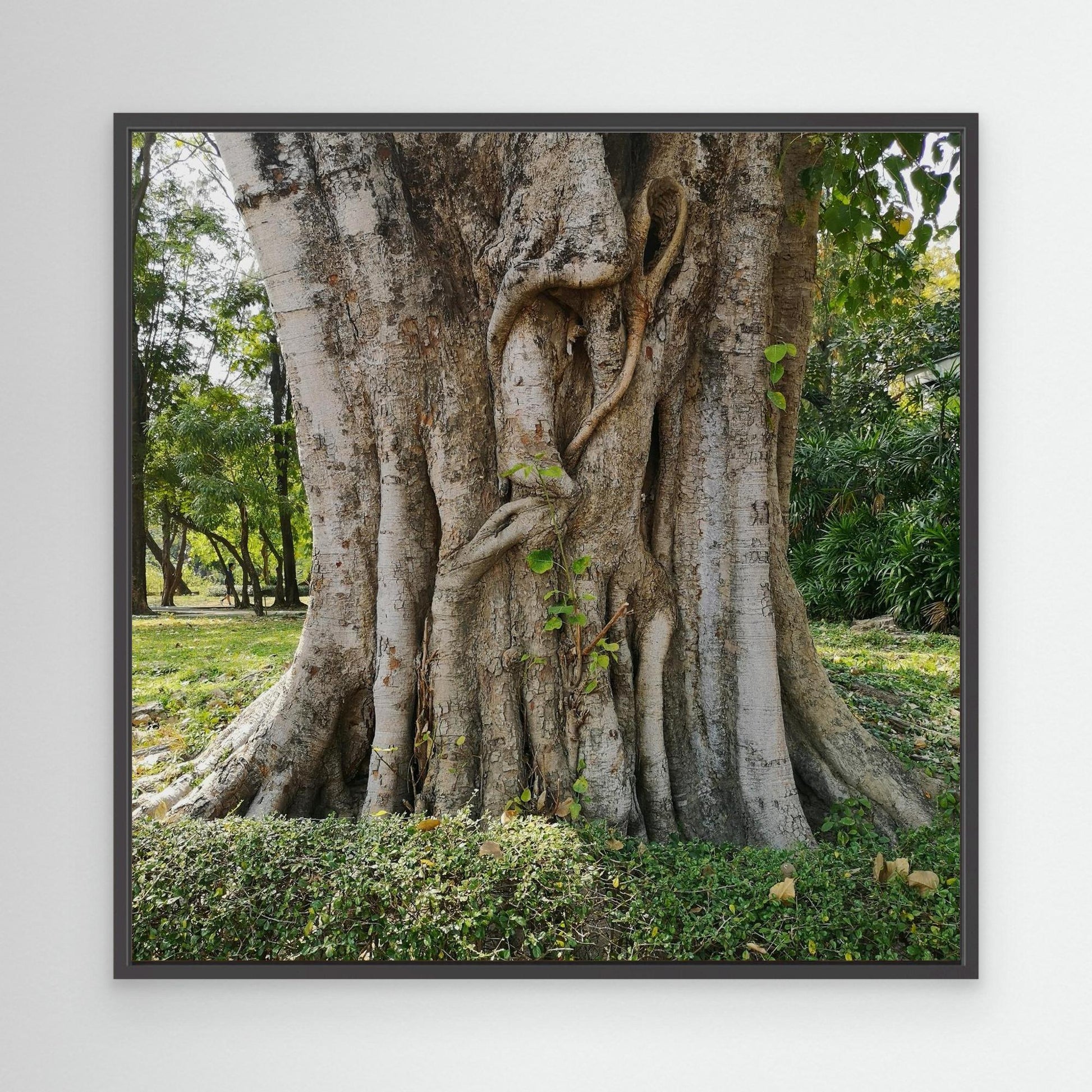 Benchakitti Park, Bangkok