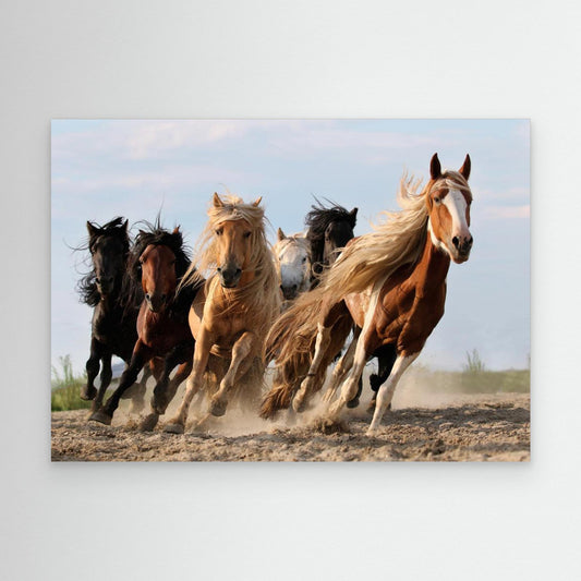 Lucky Six by Adam Wong