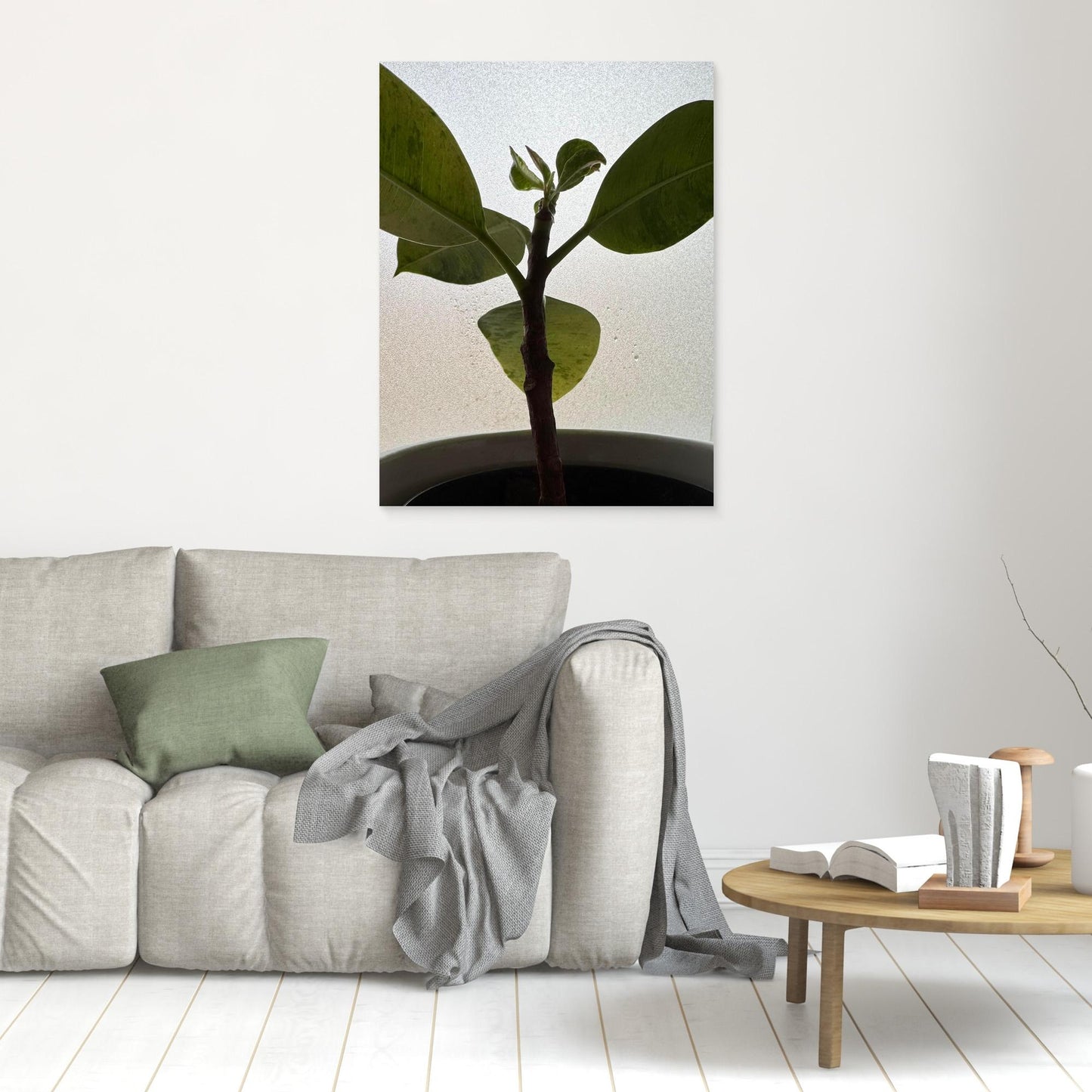 Healthy plant