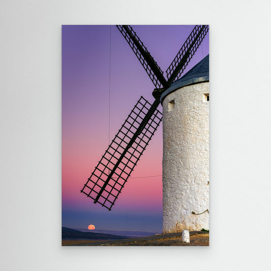 DON QUIXOTE'S DREAM by Francisco Crusat