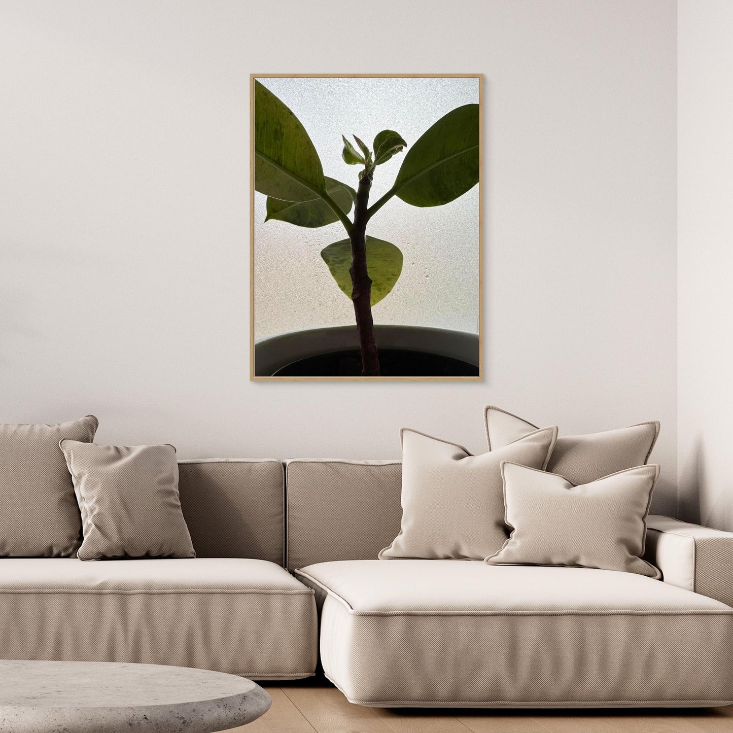 Healthy plant
