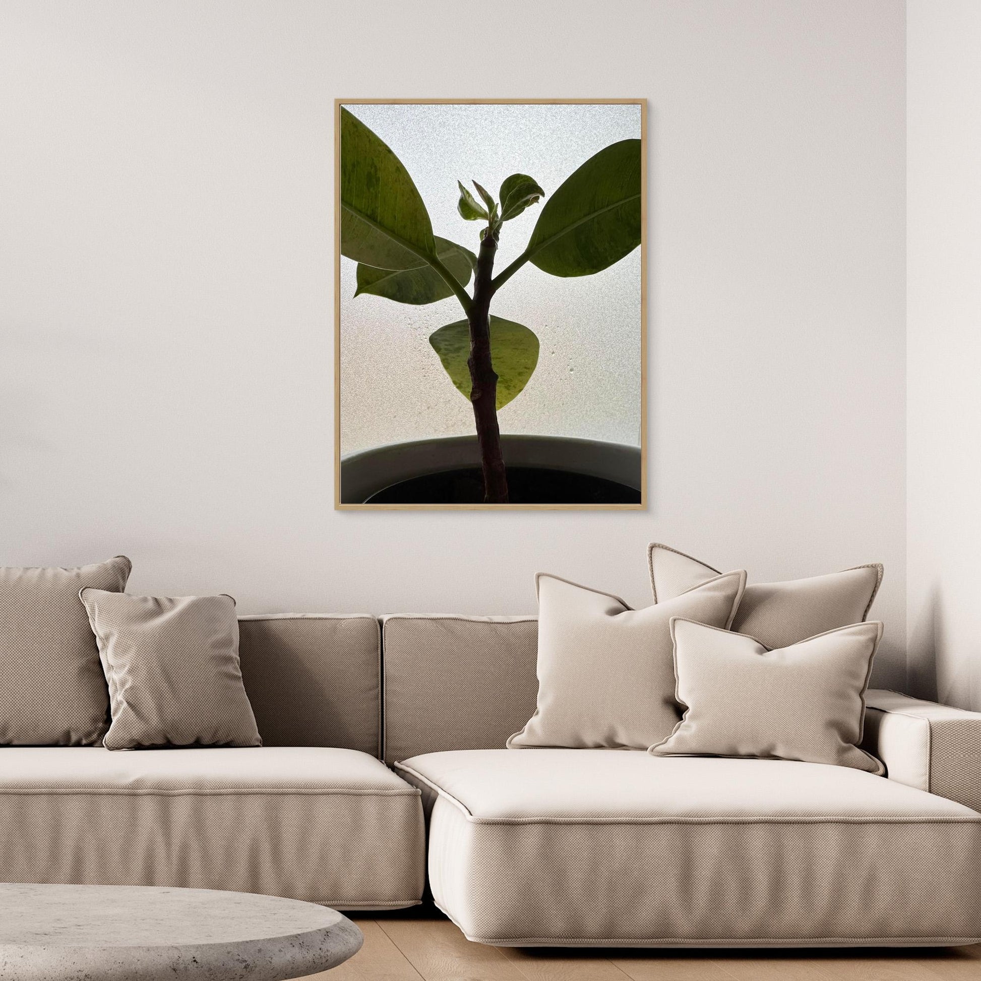 Healthy plant