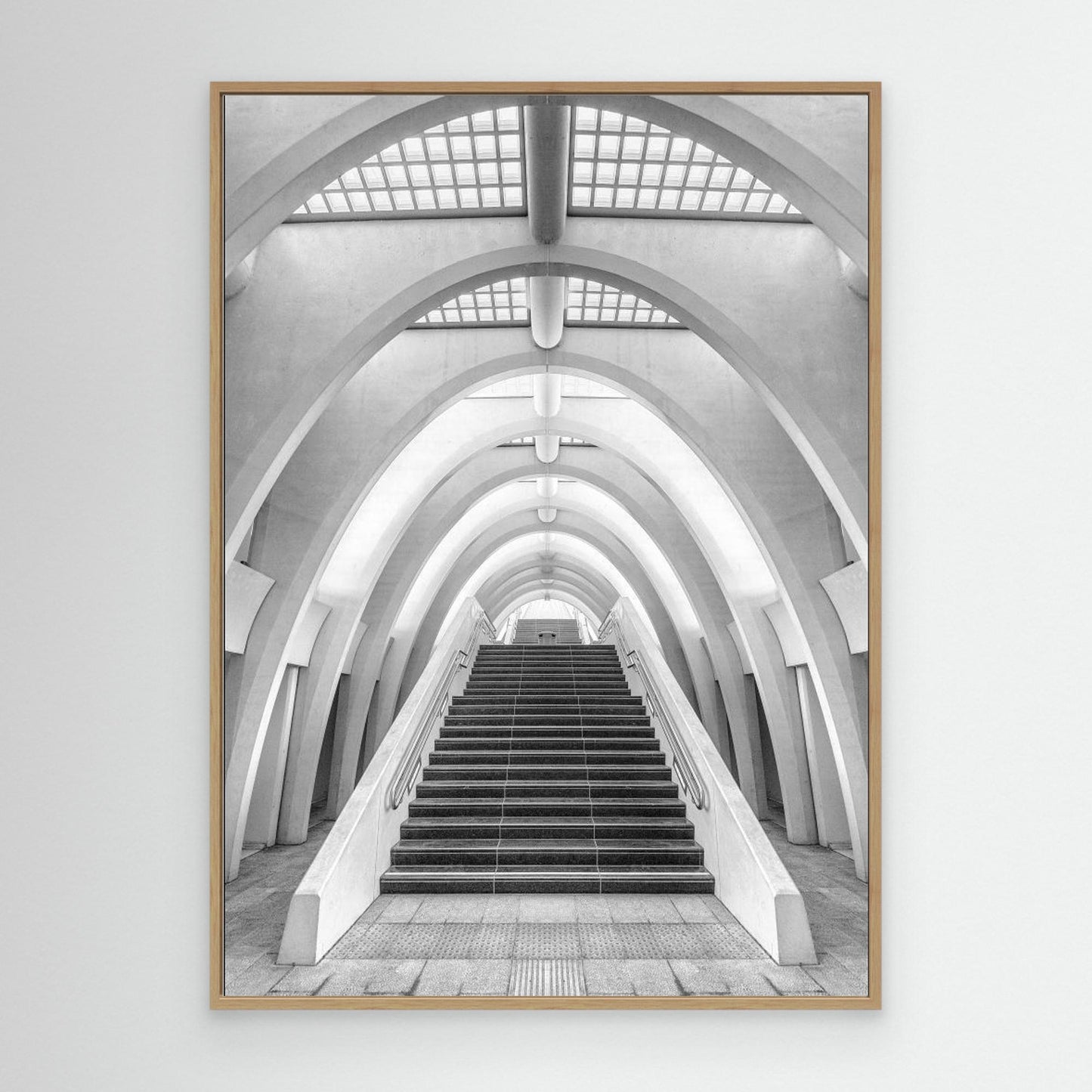 Calatrava lines by Jef Van Den Houte