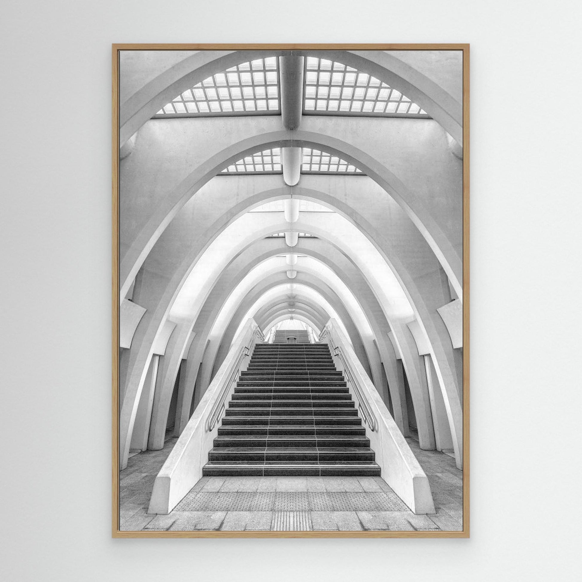 Calatrava lines by Jef Van Den Houte