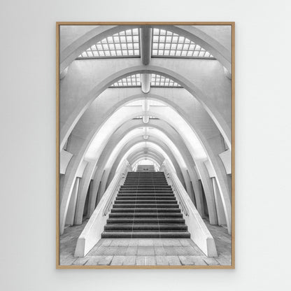 Calatrava lines by Jef Van Den Houte