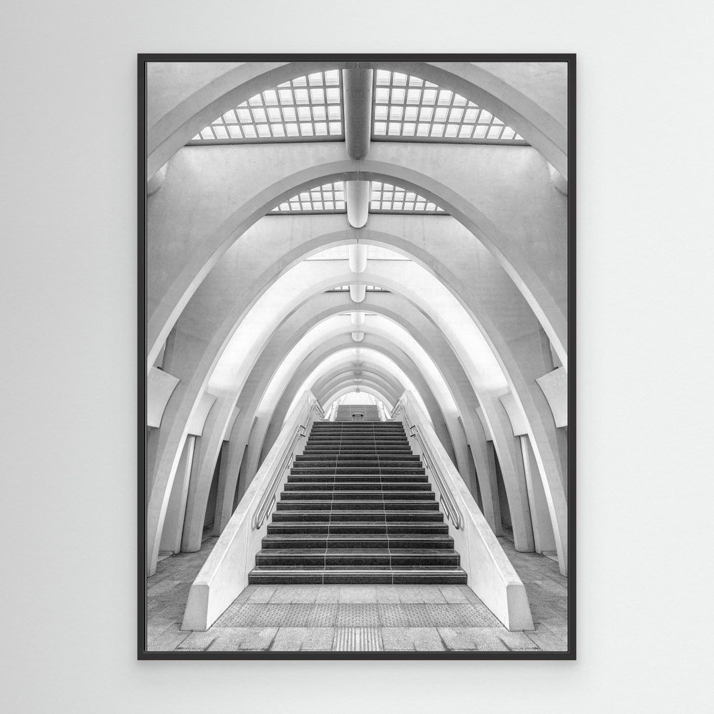 Calatrava lines by Jef Van Den Houte