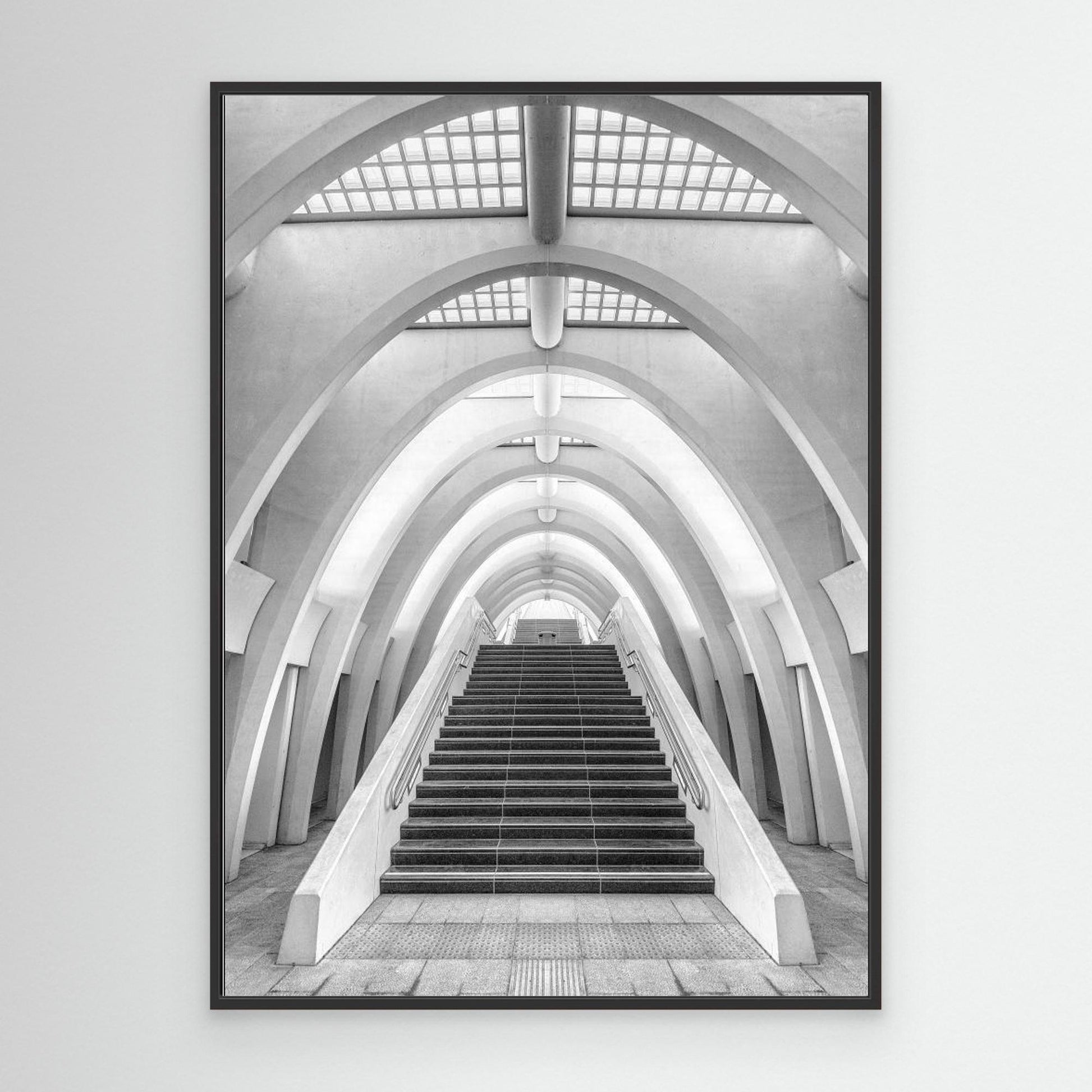 Calatrava lines by Jef Van Den Houte