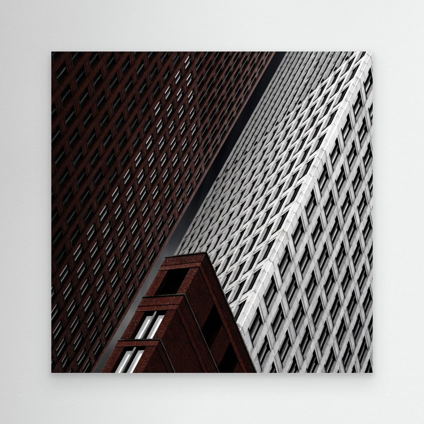 in tribulation by Gilbert Claes