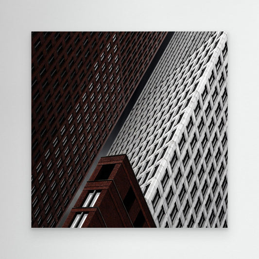 in tribulation by Gilbert Claes