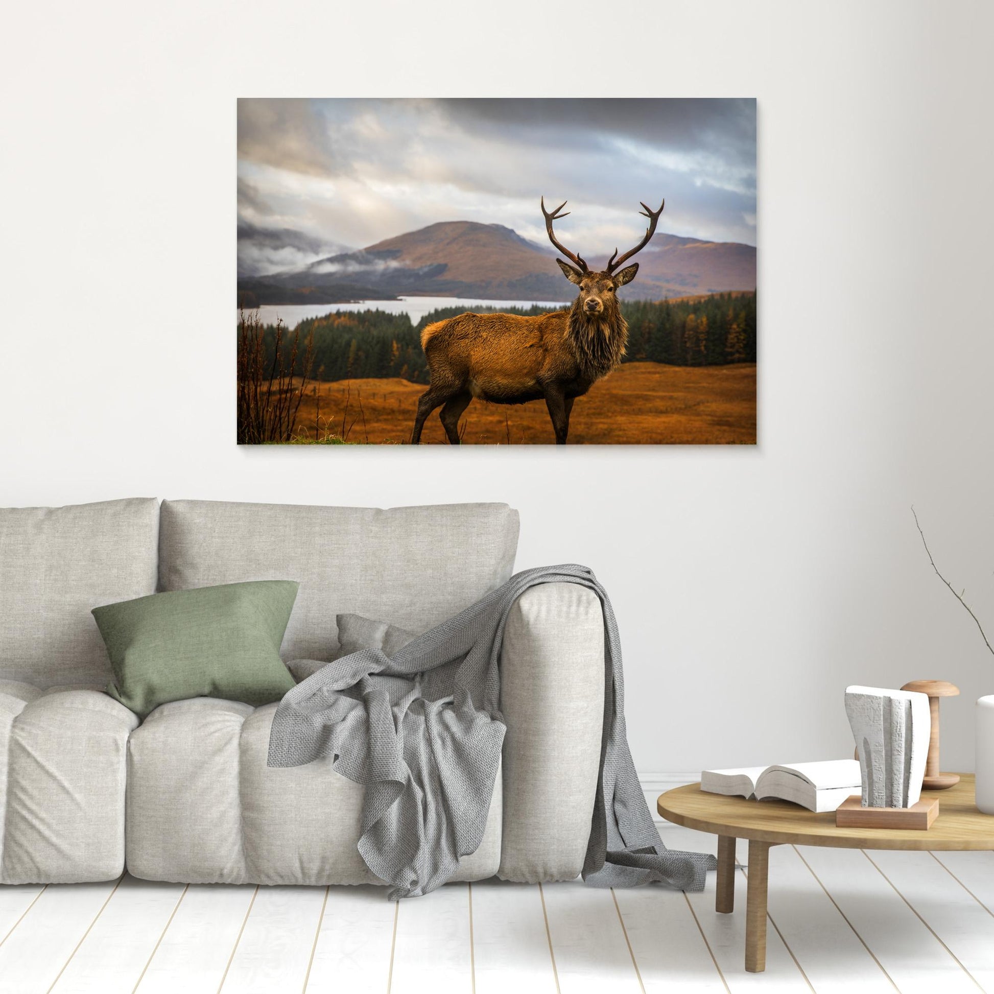 Scottish Stag by Adrian Popan