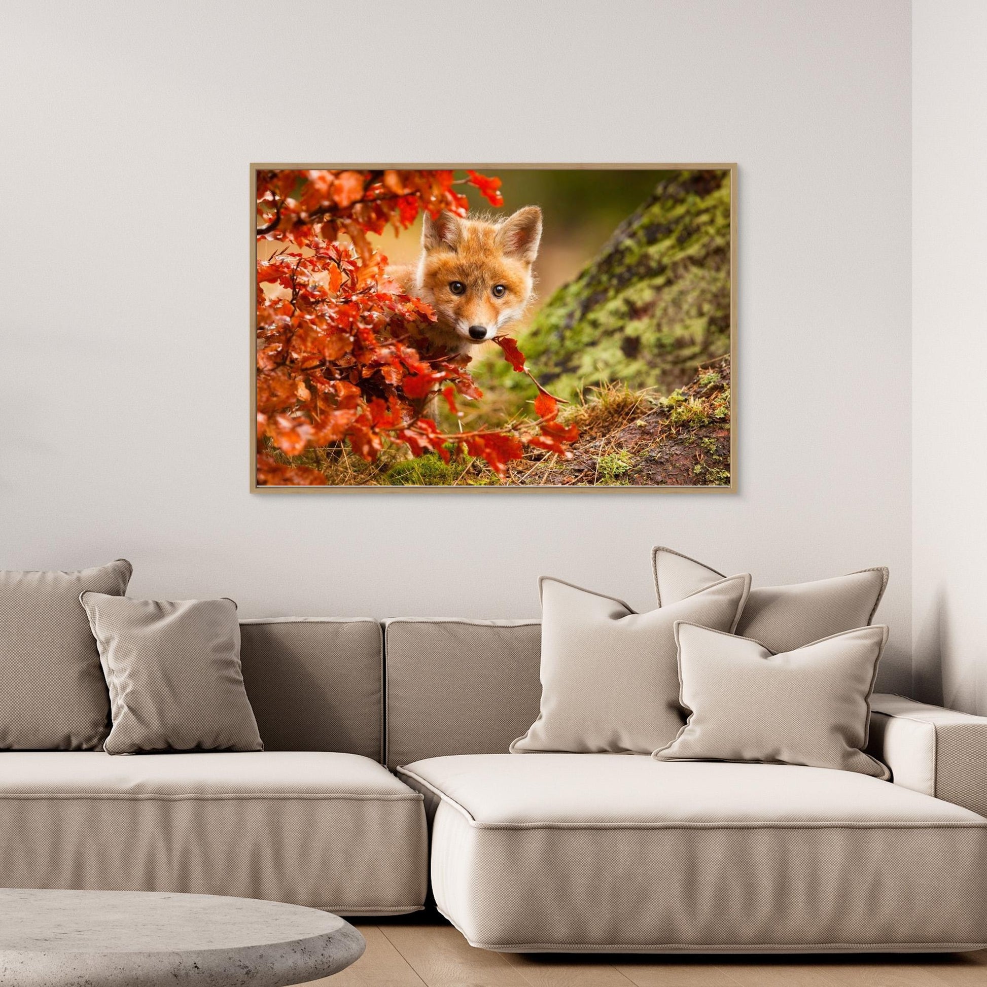 Fox by Robert Adamec