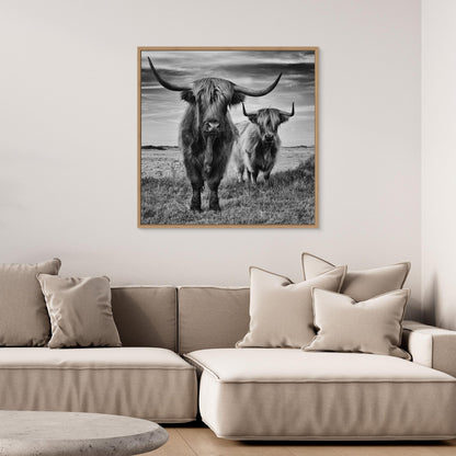 Highlands by Stéphane Pecqueux