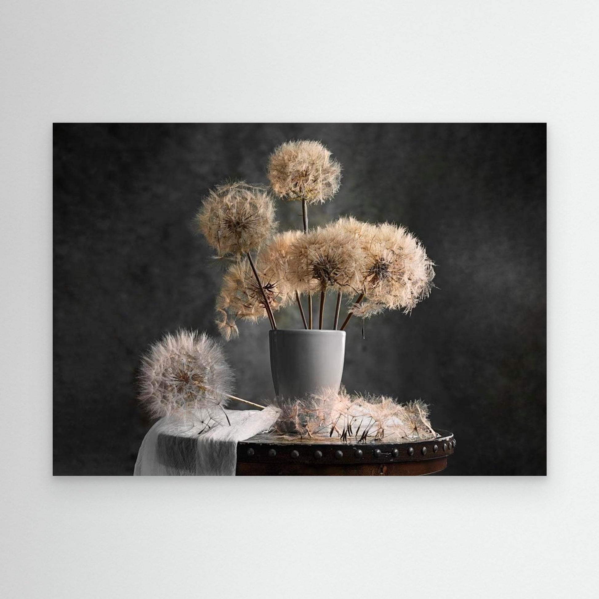 Dandelion Seed Pod by Lydia Jacobs