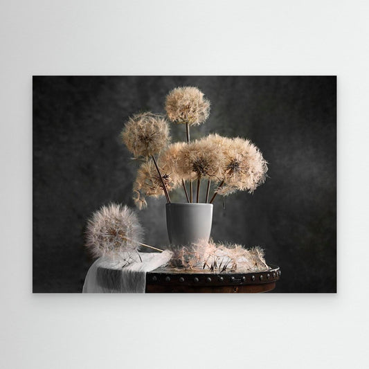 Dandelion Seed Pod by Lydia Jacobs