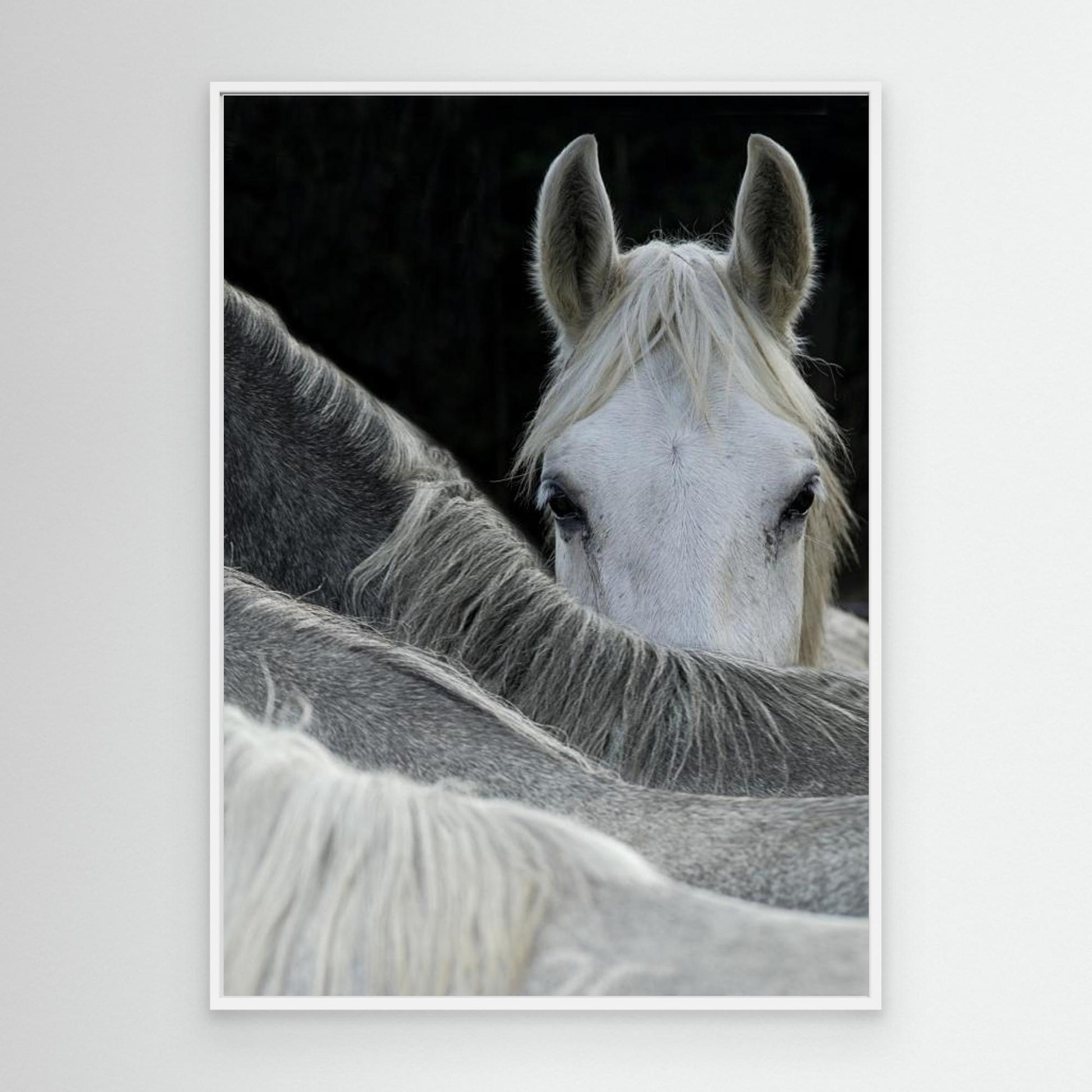 Look by Milan Malovrh