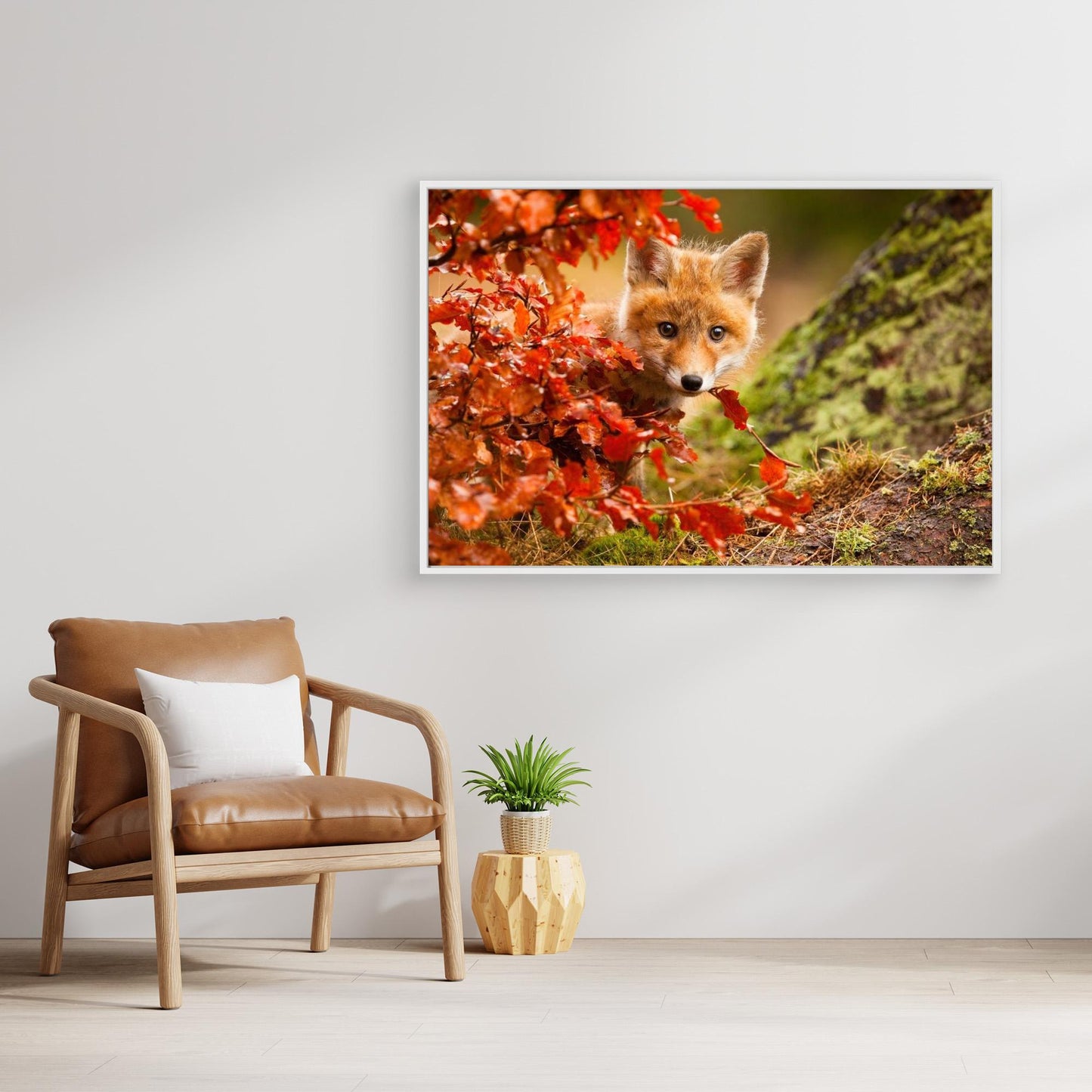 Fox by Robert Adamec