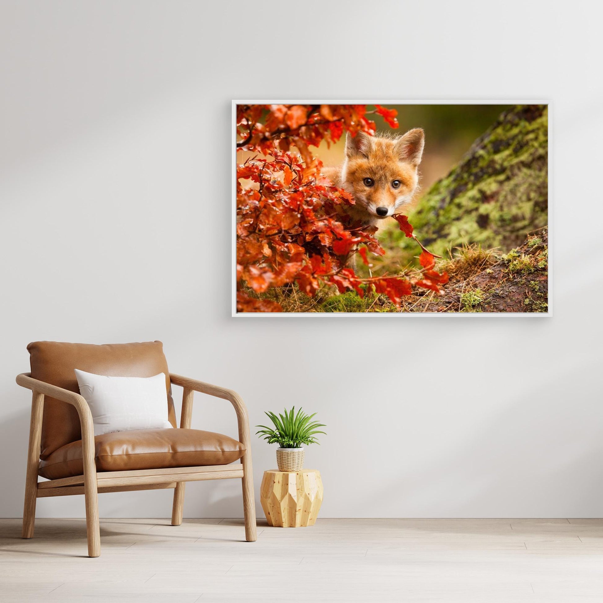 Fox by Robert Adamec