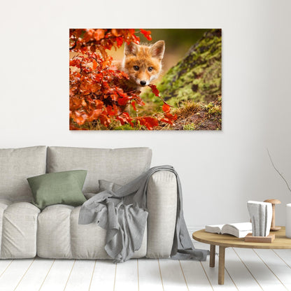 Fox by Robert Adamec